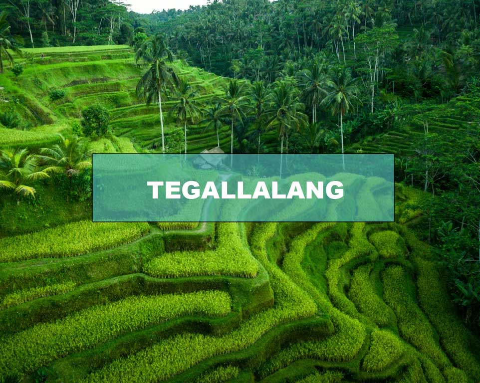 tegal